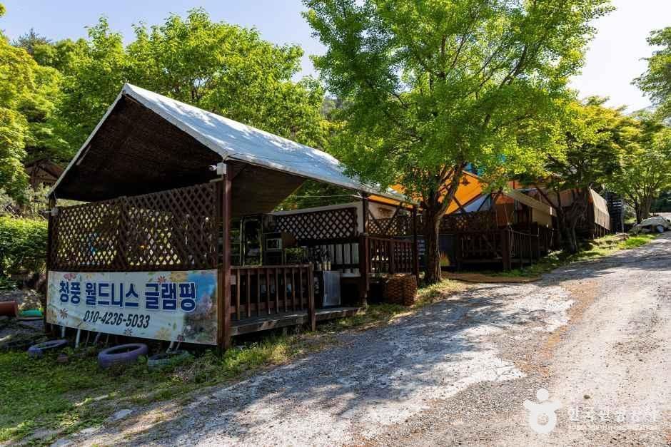 청풍월드니스글램핑 여행 추천 - 메고지고