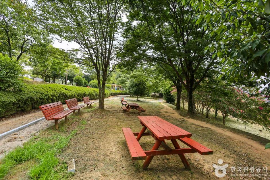 송정공원 여행 추천 - 메고지고 송정공원 여행 추천 - 메고지고