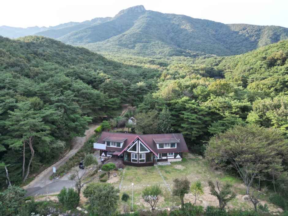 조아저씨의수제소시지 여행 추천 - 메고지고