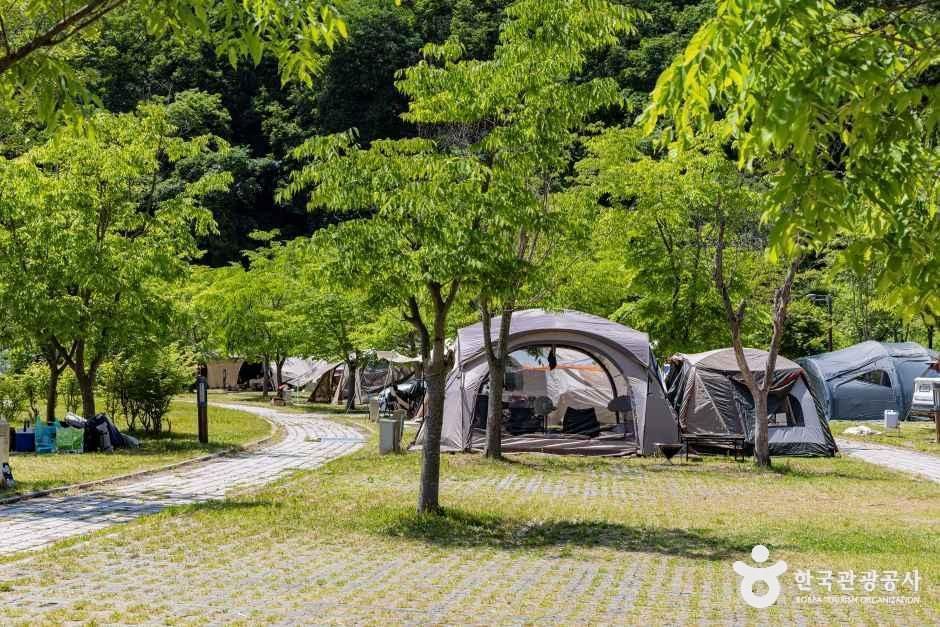 원남테마공원캠핑장 여행 추천 - 메고지고