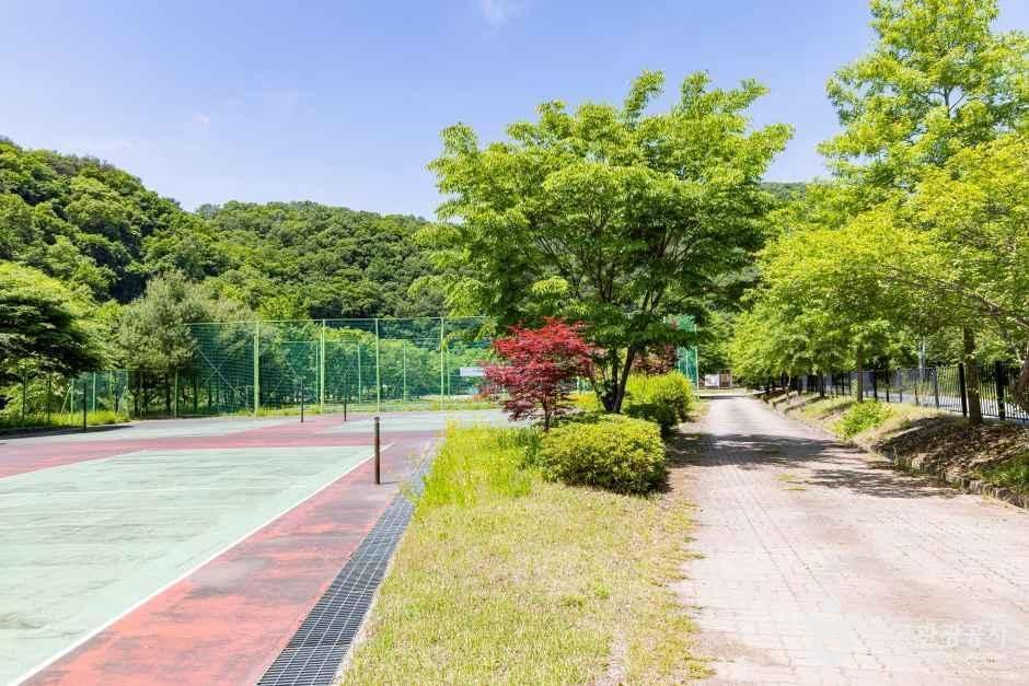 원남테마공원캠핑장 여행 추천 - 메고지고