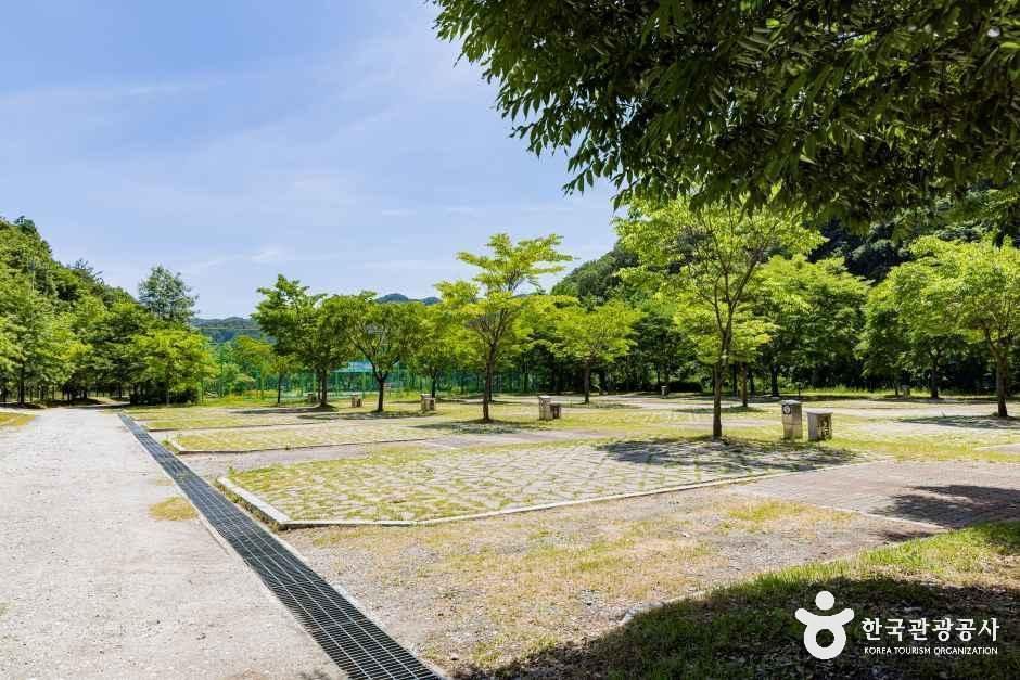 원남테마공원캠핑장 여행 추천 - 메고지고