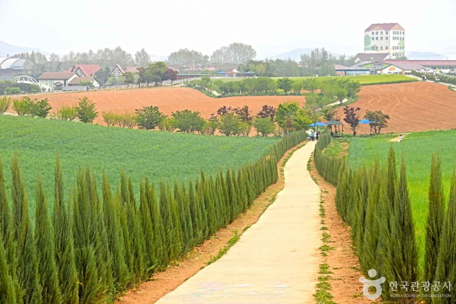 안성팜랜드 여행 추천 - 메고지고 안성팜랜드 여행 추천 - 메고지고