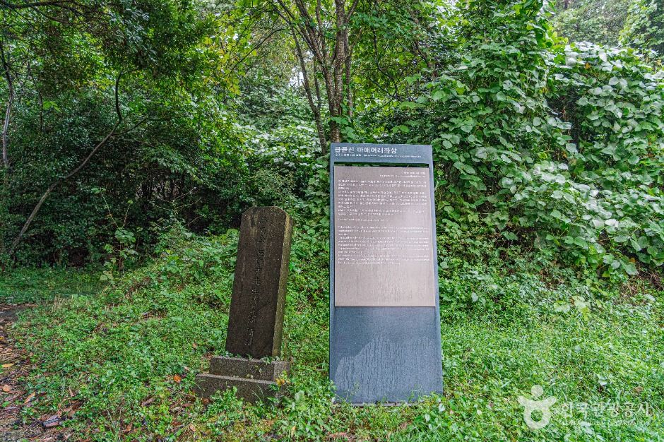 금골산 여행 추천 - 메고지고 금골산 여행 추천 - 메고지고