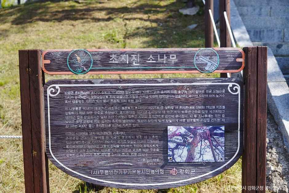 강화 초지진 여행 추천 - 메고지고 강화 초지진 여행 추천 - 메고지고