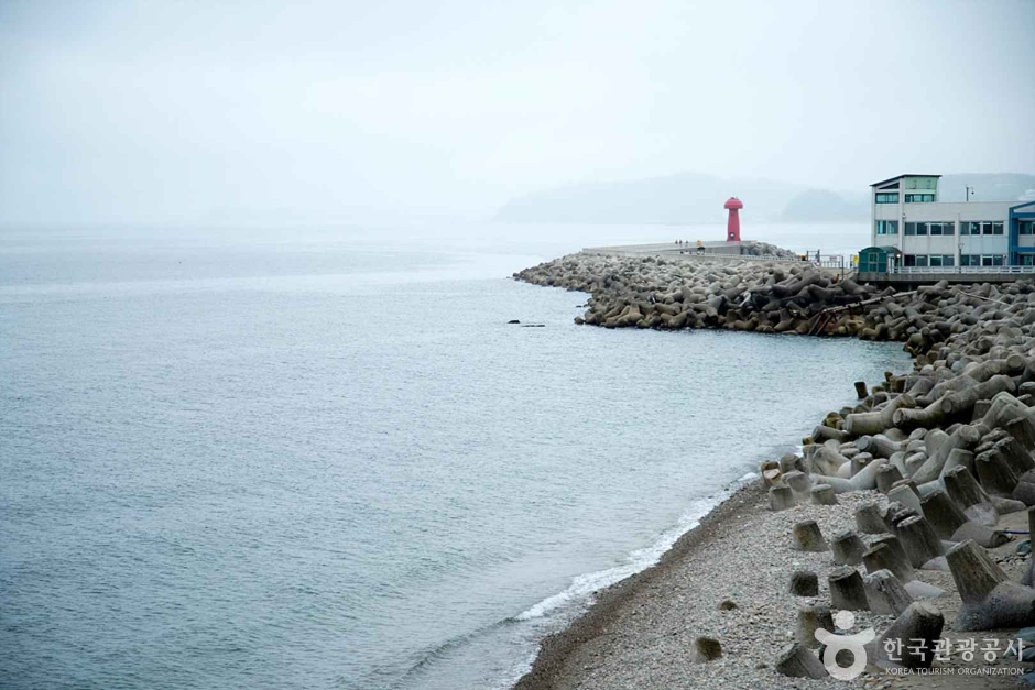 물치항 여행 추천 - 메고지고 물치항 여행 추천 - 메고지고
