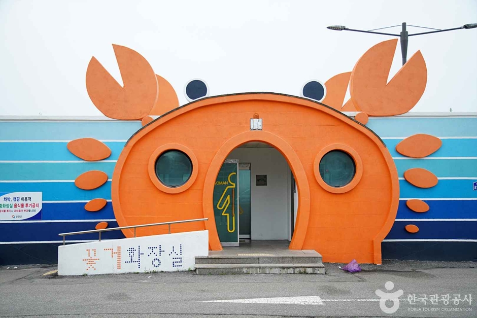 물치항 여행 추천 - 메고지고 물치항 여행 추천 - 메고지고