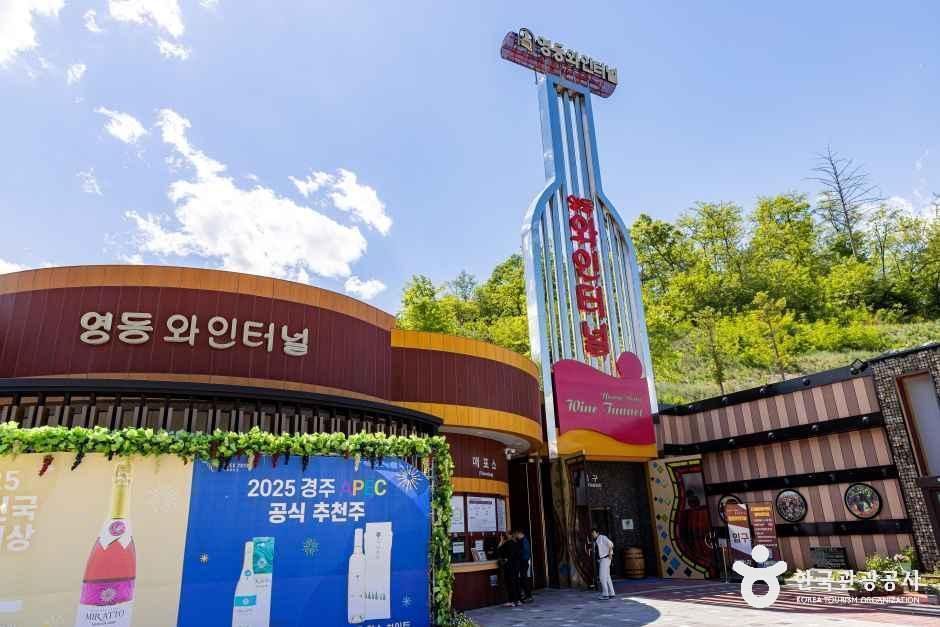 영동 와인터널 여행 추천 - 메고지고