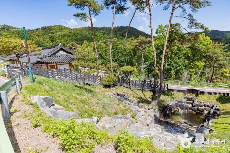속리산 숲체험휴양마을 여행 추천 - 메고지고 속리산 숲체험휴양마을 여행 추천 - 메고지고