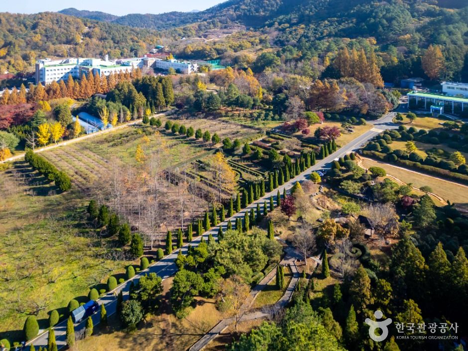 전남광주통합특별시 산림연구원 여행 추천 - 메고지고 전남광주통합특별시 산림연구원 여행 추천 - 메고지고