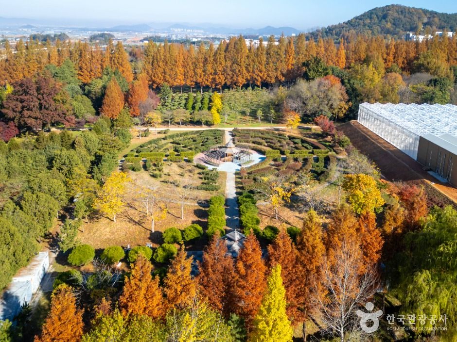 전남광주통합특별시 산림연구원 여행 추천 - 메고지고 전남광주통합특별시 산림연구원 여행 추천 - 메고지고