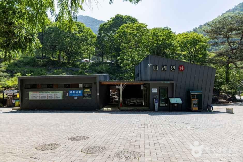 다리안 캠핑장 여행 추천 - 메고지고