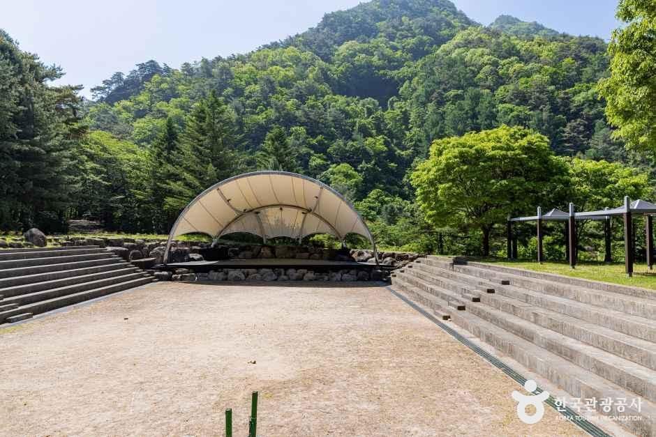 다리안 캠핑장 여행 추천 - 메고지고