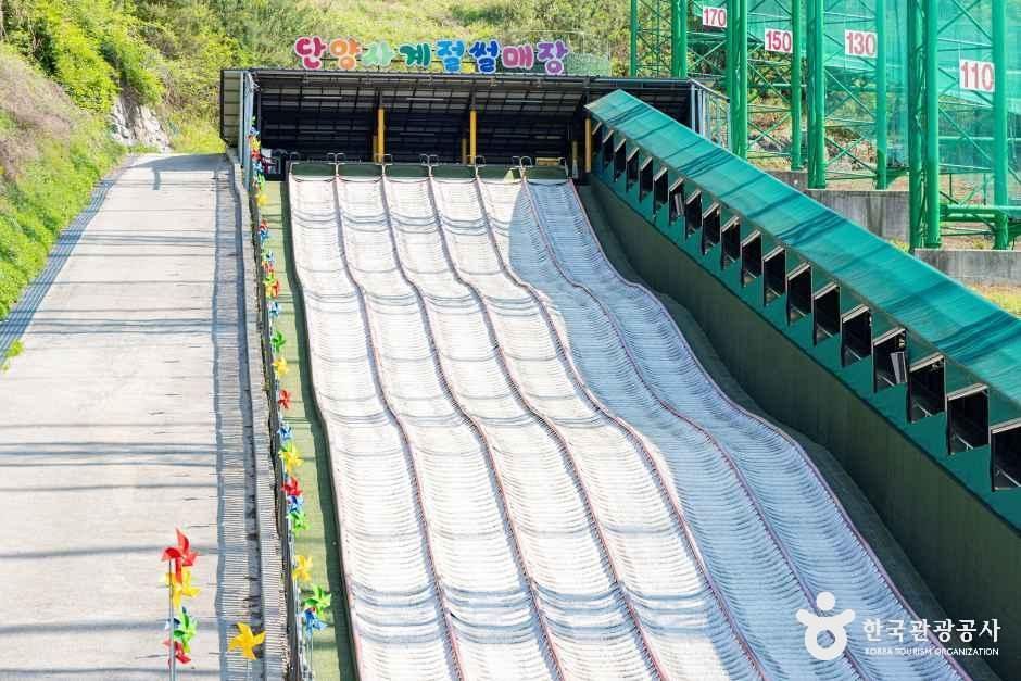단양 사계절썰매장 여행 추천 - 메고지고 단양 사계절썰매장 여행 추천 - 메고지고