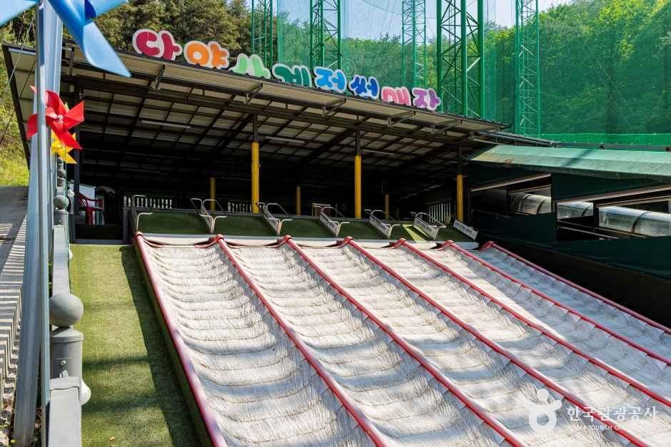 단양 사계절썰매장 여행 추천 - 메고지고 단양 사계절썰매장 여행 추천 - 메고지고