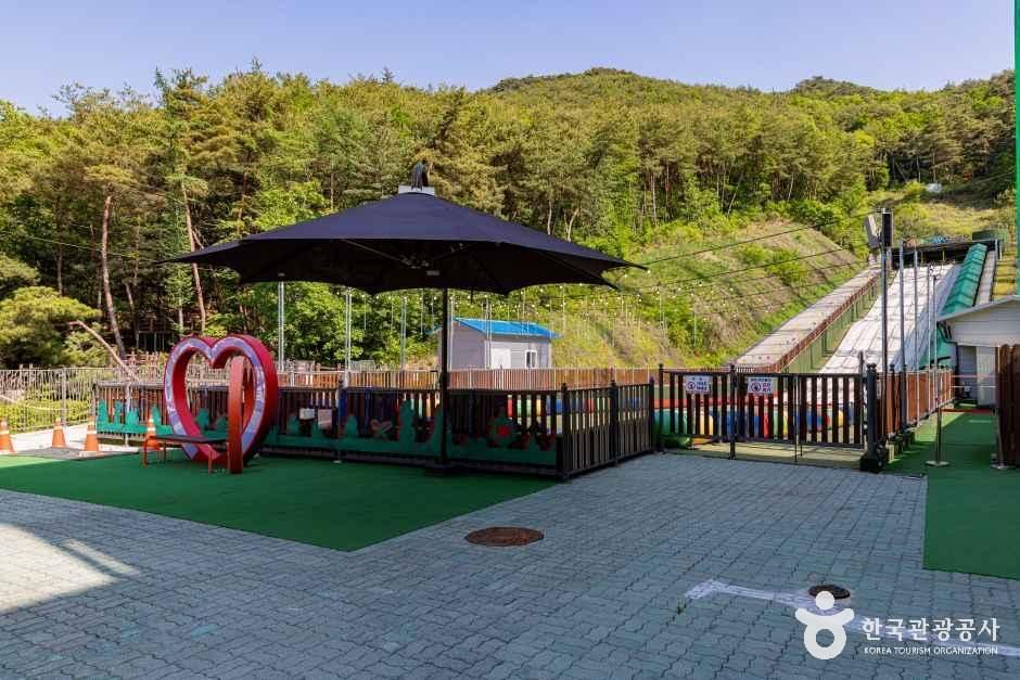 단양 사계절썰매장 여행 추천 - 메고지고 단양 사계절썰매장 여행 추천 - 메고지고