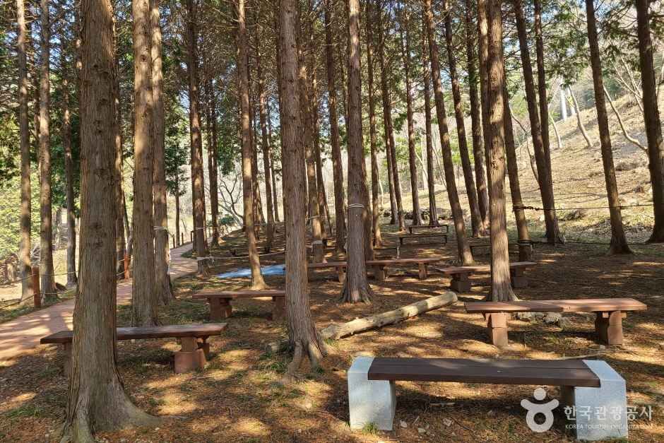 운림산림욕장 여행 추천 - 메고지고 운림산림욕장 여행 추천 - 메고지고