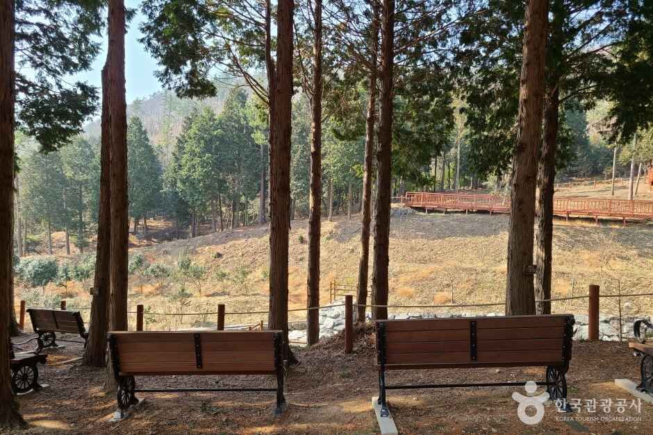 운림산림욕장 여행 추천 - 메고지고 운림산림욕장 여행 추천 - 메고지고