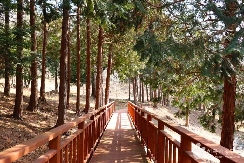 운림산림욕장 여행 추천 - 메고지고 운림산림욕장 여행 추천 - 메고지고
