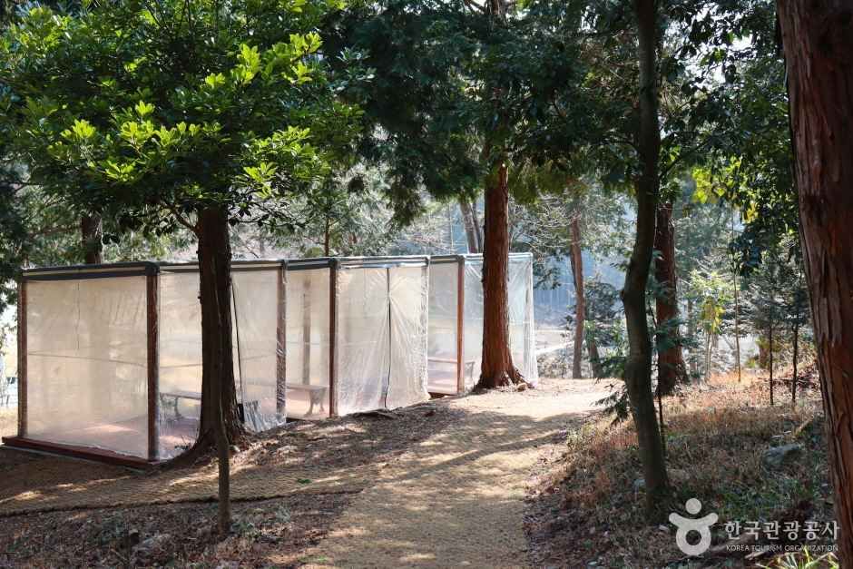 운림산림욕장 여행 추천 - 메고지고 운림산림욕장 여행 추천 - 메고지고