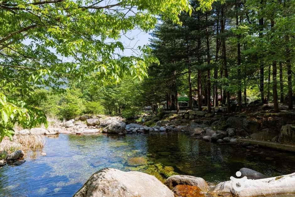 단양천동계곡캠핑장 그린농원 여행 추천 - 메고지고 단양천동계곡캠핑장 그린농원 여행 추천 - 메고지고