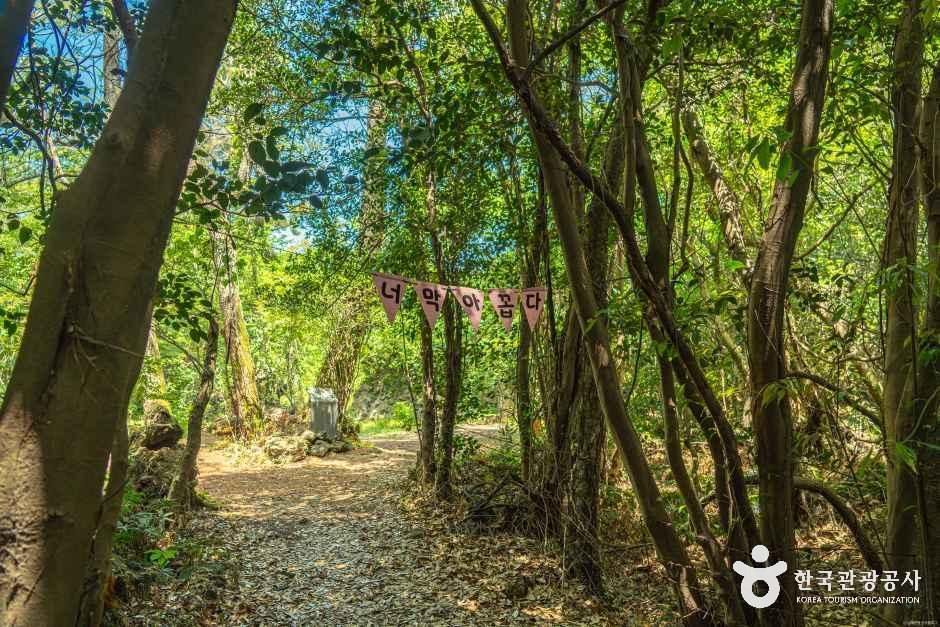 환상숲곶자왈공원 여행 추천 - 메고지고