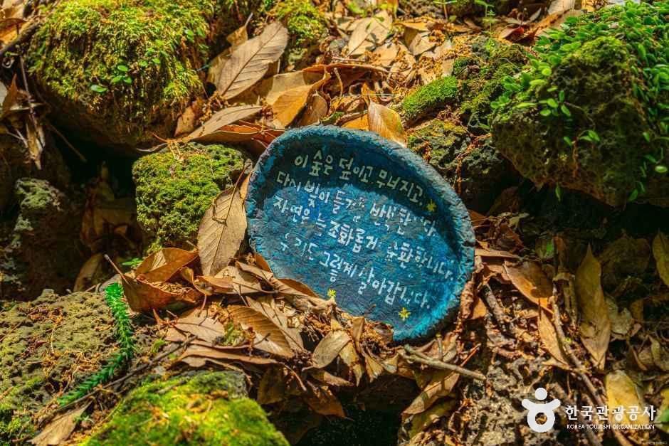 환상숲곶자왈공원 여행 추천 - 메고지고