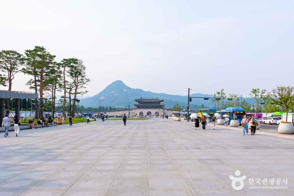 광화문광장 여행 추천 - 메고지고 광화문광장 여행 추천 - 메고지고