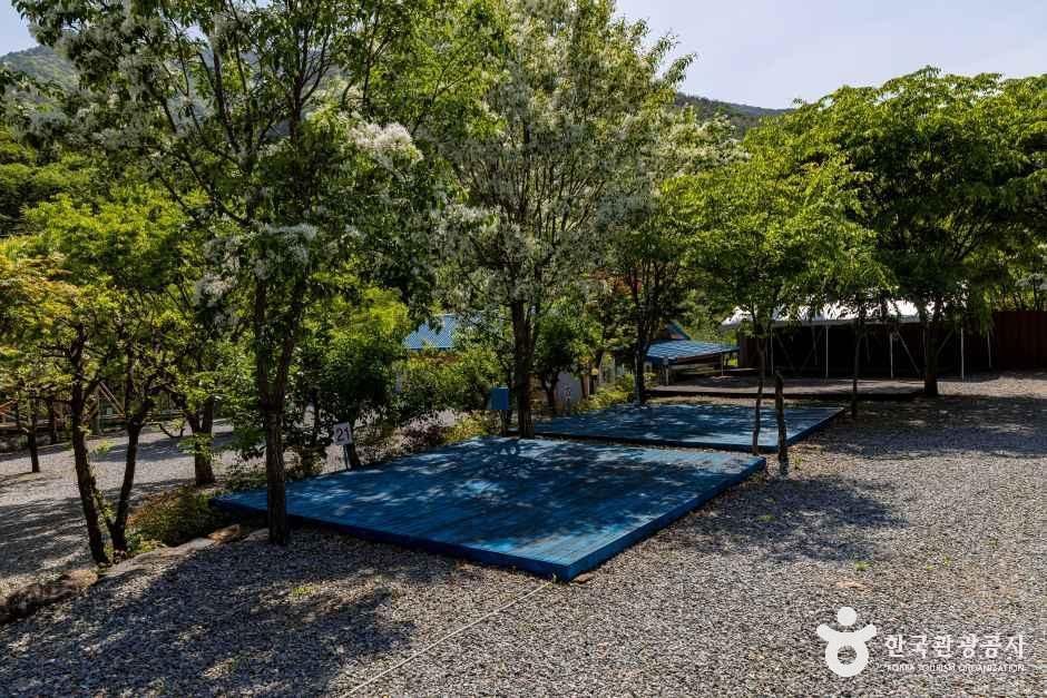 소백산오토캠핑장 여행 추천 - 메고지고 소백산오토캠핑장 여행 추천 - 메고지고