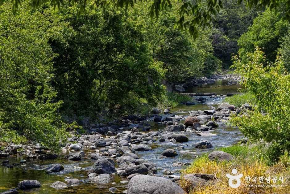 소백산오토캠핑장 여행 추천 - 메고지고 소백산오토캠핑장 여행 추천 - 메고지고