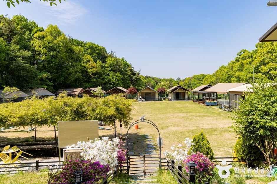 개차반캠핑장 여행 추천 - 메고지고