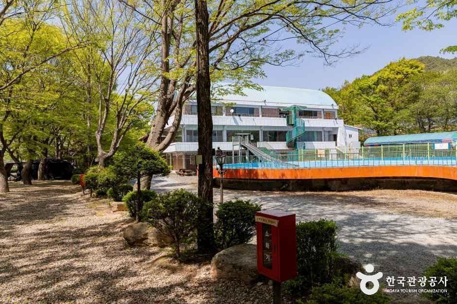 청천 화양동관광농원 초롱이캠핑장 여행 추천 - 메고지고 청천 화양동관광농원 초롱이캠핑장 여행 추천 - 메고지고