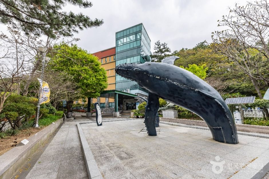 부산해양자연사박물관 여행 추천 - 메고지고 부산해양자연사박물관 여행 추천 - 메고지고