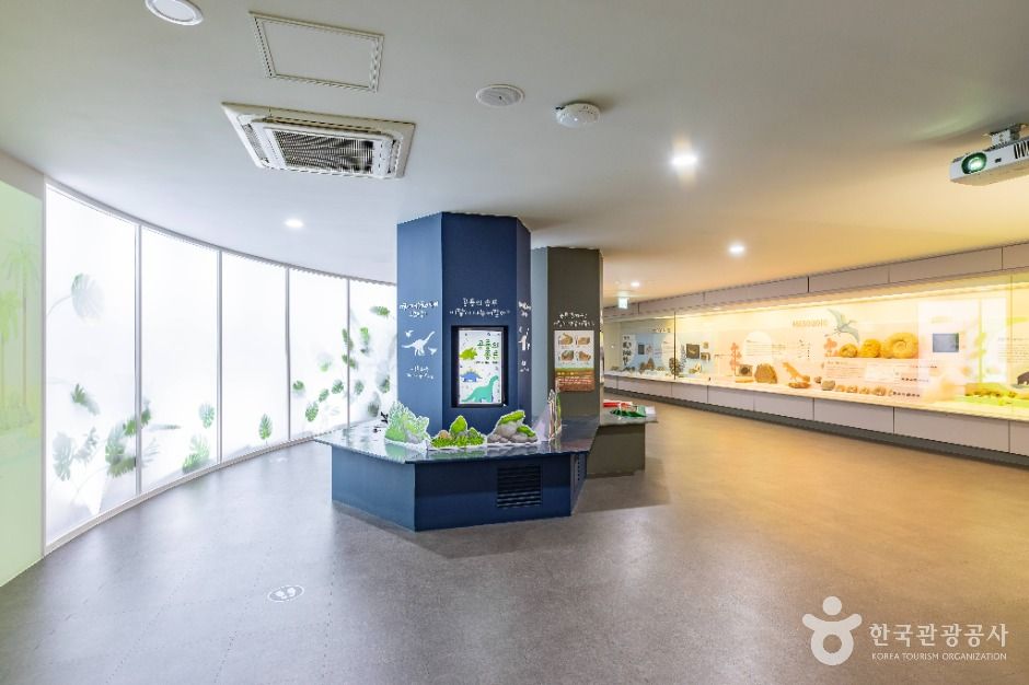 부산해양자연사박물관 여행 추천 - 메고지고 부산해양자연사박물관 여행 추천 - 메고지고
