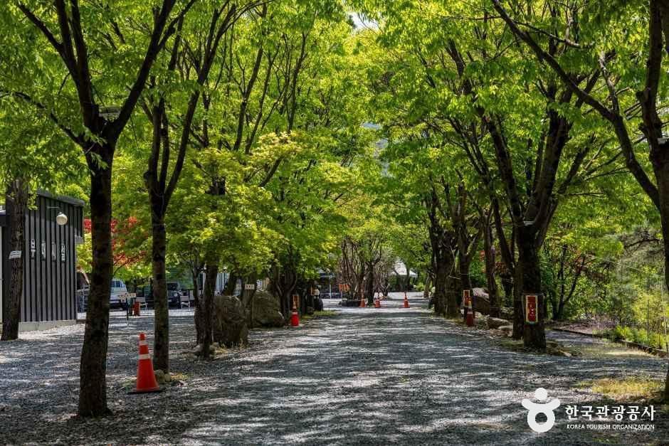 쌍곡예당 여행 추천 - 메고지고