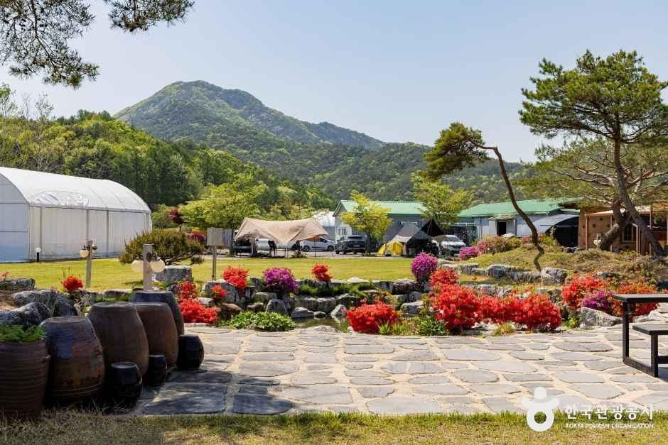 해밀터 여행 추천 - 메고지고 해밀터 여행 추천 - 메고지고