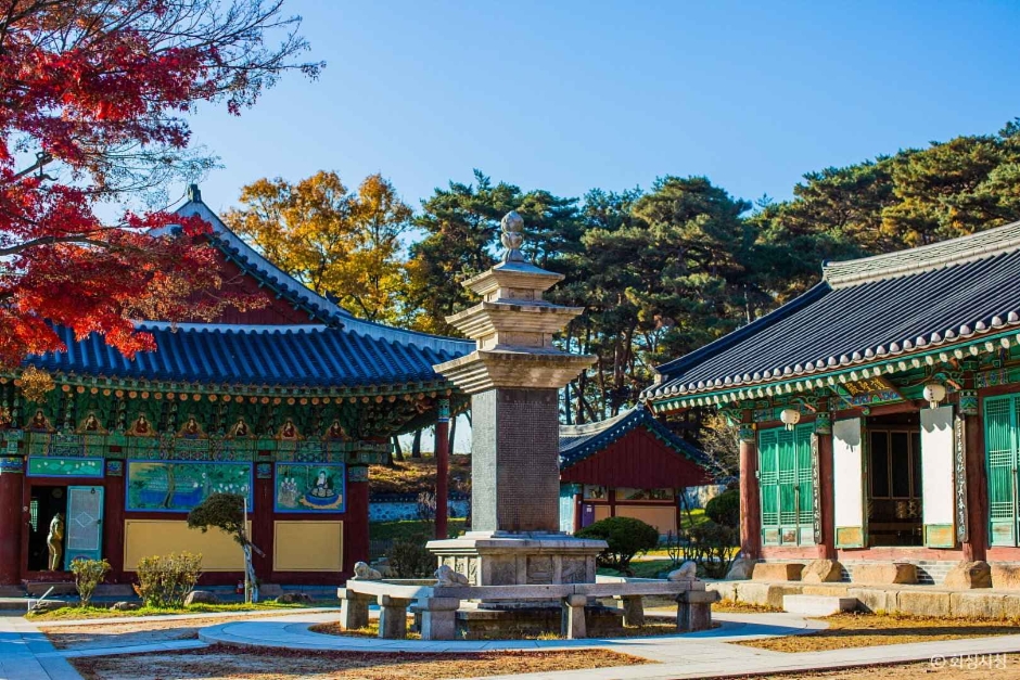 용주사(화성) 여행 추천 - 메고지고