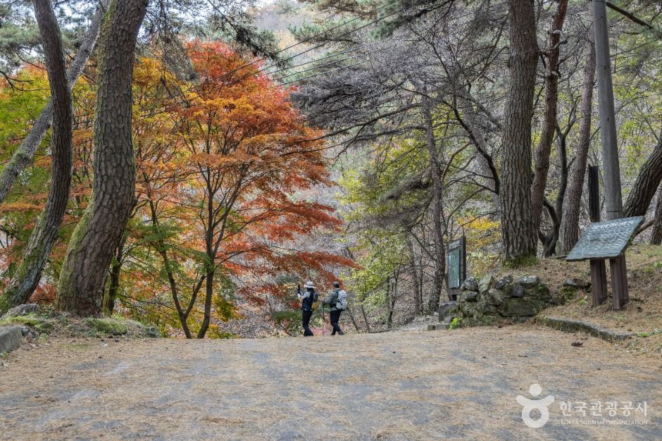 추월산 여행 추천 - 메고지고 추월산 여행 추천 - 메고지고