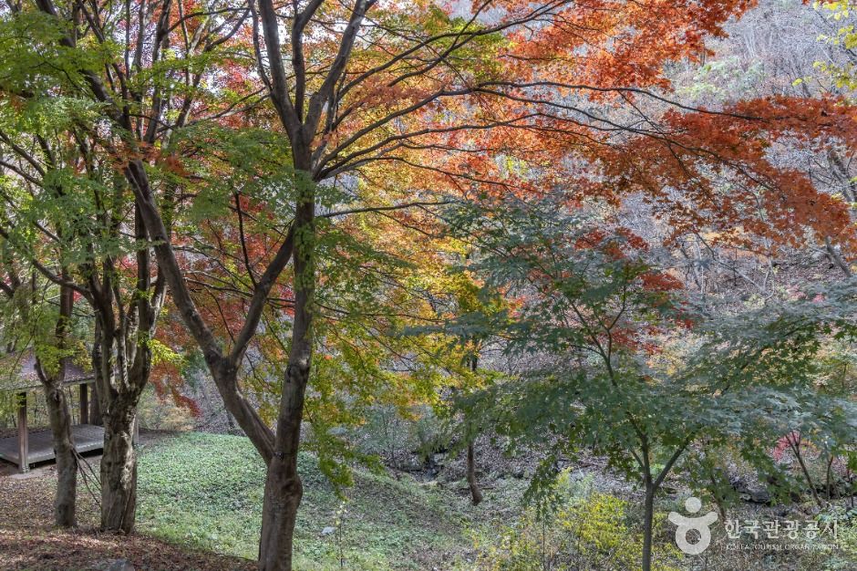 추월산 여행 추천 - 메고지고 추월산 여행 추천 - 메고지고