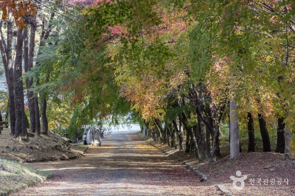 추월산 여행 추천 - 메고지고 추월산 여행 추천 - 메고지고