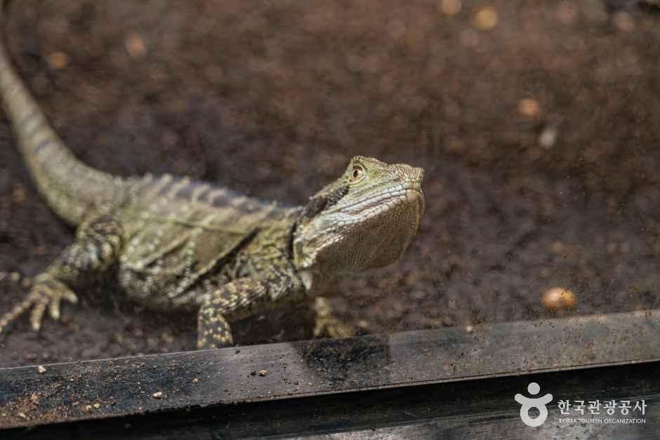 네이처파크 여행 추천 - 메고지고 네이처파크 여행 추천 - 메고지고
