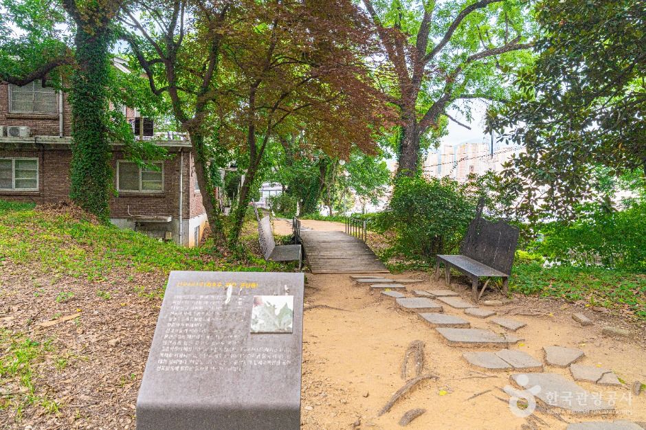 양림동 호랑가시나무길 여행 추천 - 메고지고 양림동 호랑가시나무길 여행 추천 - 메고지고
