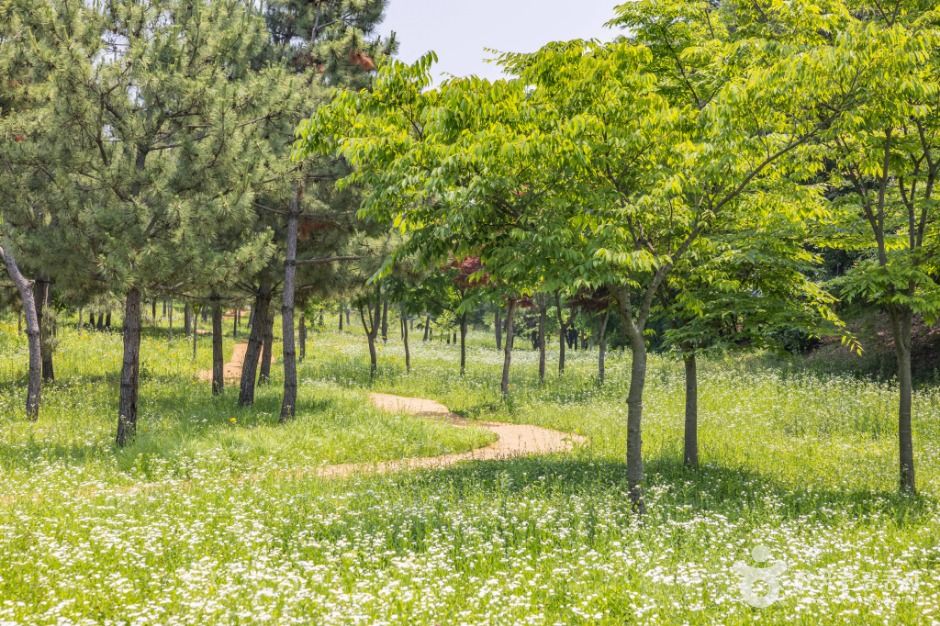연희공원 여행 추천 - 메고지고 연희공원 여행 추천 - 메고지고