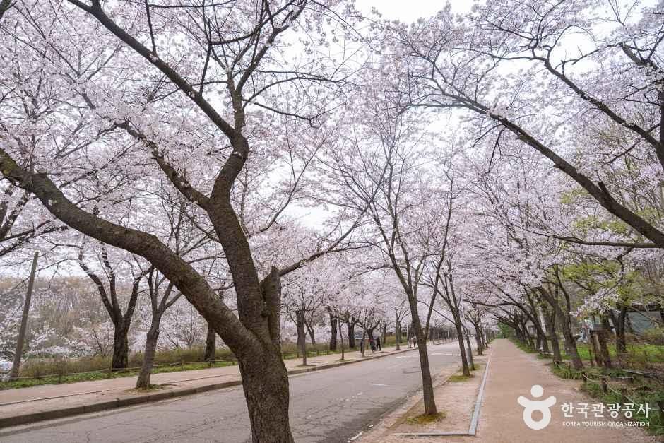 인천대공원 여행 추천 - 메고지고 인천대공원 여행 추천 - 메고지고