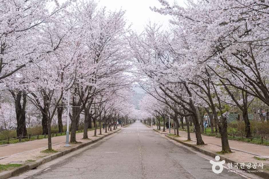 인천대공원 여행 추천 - 메고지고 인천대공원 여행 추천 - 메고지고