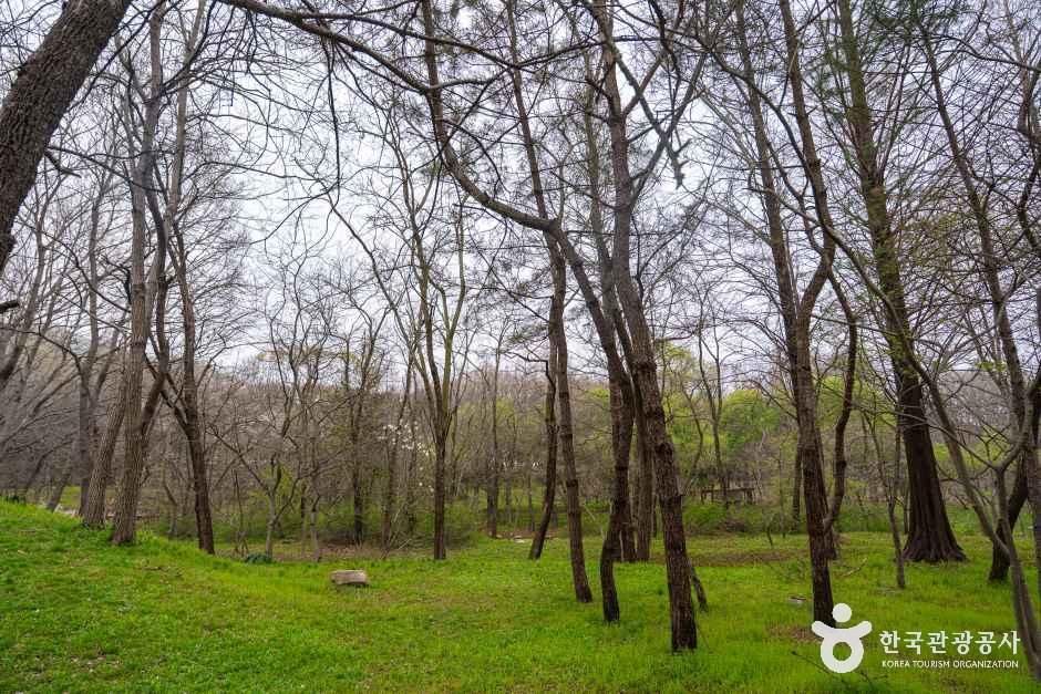 인천대공원 여행 추천 - 메고지고 인천대공원 여행 추천 - 메고지고