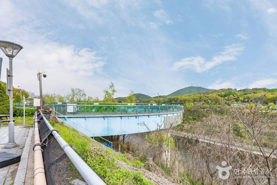 아라마루 전망대 여행 추천 - 메고지고 아라마루 전망대 여행 추천 - 메고지고