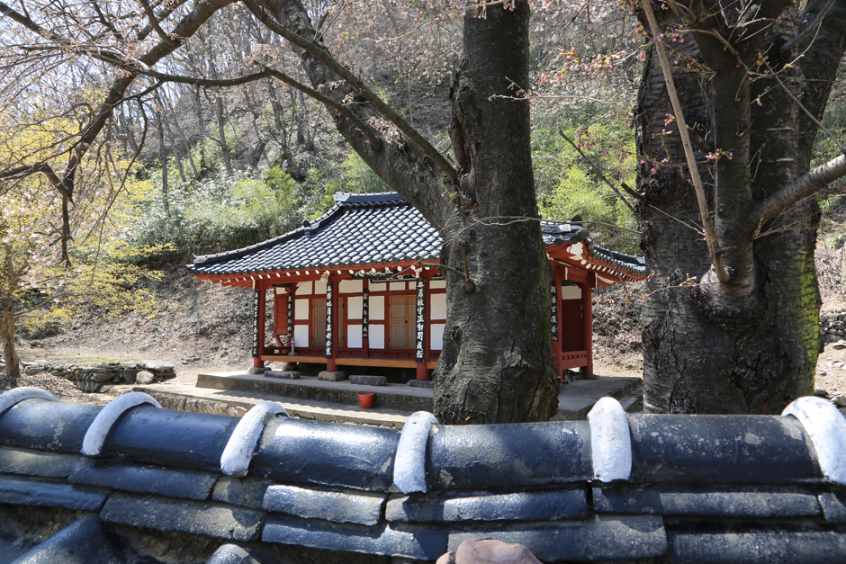 오봉정사 여행 추천 - 메고지고 오봉정사 여행 추천 - 메고지고