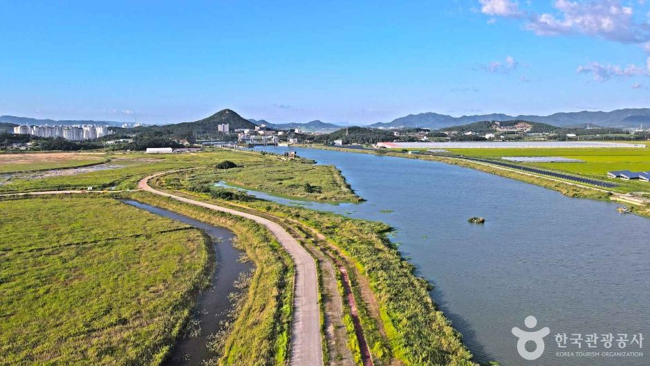 영암호(철새도래지) 여행 추천 - 메고지고 영암호(철새도래지) 여행 추천 - 메고지고