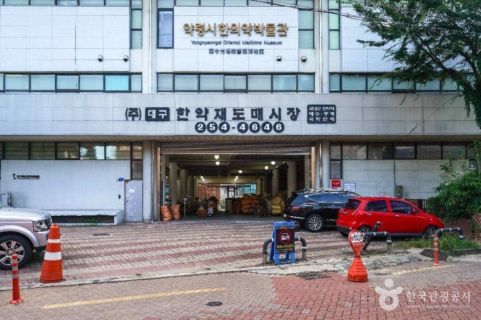 대구 약령시 한의약박물관 여행 추천 - 메고지고 대구 약령시 한의약박물관 여행 추천 - 메고지고